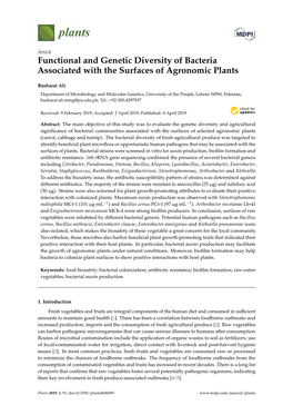 Functional and Genetic Diversity of Bacteria Associated with the Surfaces of Agronomic Plants