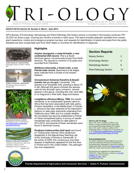 Section Reports Astylus Bourgeoisi, a Melyrid Beetle, a New Continental USA Record