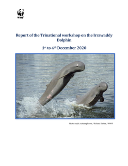 Report of the Trinational Workshop on the Irrawaddy Dolphin 1St to 4Th