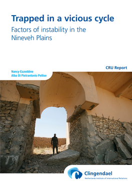 Trapped in a Vicious Cycle Factors of Instability in the Nineveh Plains