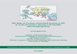 The Role of Cyclase-Associated Protein (CAP)