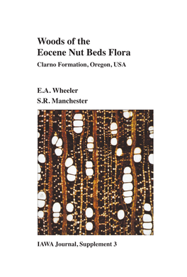 Woods of the Eocene Nut Beds Flora Clarno Formation, Oregon, USA