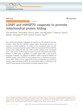 LONP1 and Mthsp70 Cooperate to Promote Mitochondrial Protein Folding