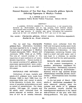 Natural Enemies of Tur Pod Bug, Clavigralla Gibbosa Spinola Infesting Pige3npea in Madhya Pradesh