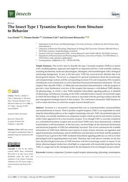 The Insect Type 1 Tyramine Receptors: from Structure to Behavior