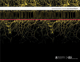 Queensland Brain Institute 2012 Annual Report