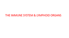 The Immune System & Lymphoid Organs