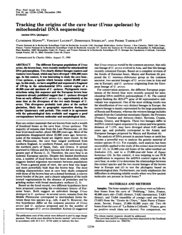 Tracking the Origins of the Cave Bear (Ursus Spelaeus) by Mitochondrial