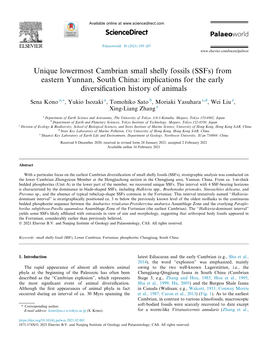 Unique Lowermost Cambrian Small Shelly Fossils (Ssfs) from Eastern Yunnan, South China: Implications for the Early Diversiﬁcation History of Animals