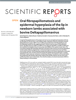 Oral Fibropapillomatosis and Epidermal Hyperplasia of the Lip In