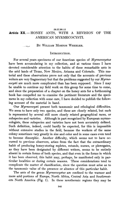 Article XX. HONEY ANTS, with a REVISION of the AMERICAN MYRMECOCYSTI