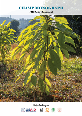 Champ Monograph (Michelia Champaca)