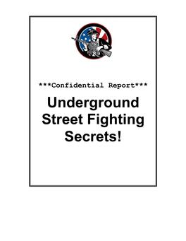 Underground Street Fighting Secrets! Underground Street Fighting Secrets