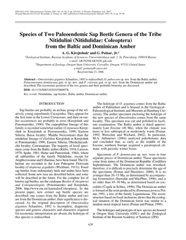 Species of Two Paleoendemic Sap Beetle Genera of the Tribe Nitidulini (Nitidulidae: Coleoptera) from the Baltic and Dominican Amber A