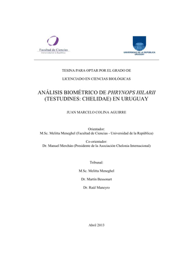 Análisis Biométrico De Phrynops Hilarii (Testudines: Chelidae) En Uruguay
