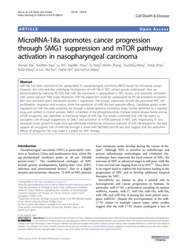 Microrna-18A Promotes Cancer Progression Through SMG1