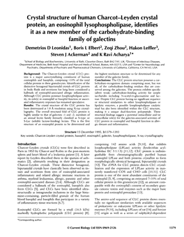 Crystal Structure of Human Charcot-Leyden Crystal Protein, An