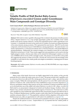 Diplotaxis Erucoides) Grown Under Greenhouse: Main Compounds and Genotype Diversity