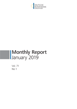 Monthly Report January 2019