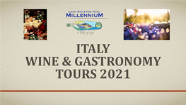 Wine & Gastronomy Tours