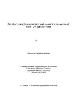 Structure, Catalytic Mechanism, and Membrane Interaction of the Mtor Activator Rheb