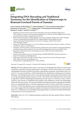 Integrating DNA Barcoding and Traditional Taxonomy for the Identiﬁcation of Dipterocarps in Remnant Lowland Forests of Sumatra