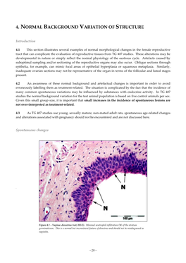 Guidelines for Histopathological Evaluation