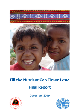 Fill the Nutrient Gap Timor-Leste Final Report