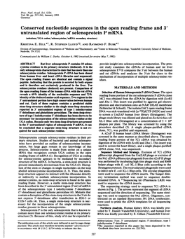 Conserved Nucleotide Sequences in the Open Reading Frame and 3