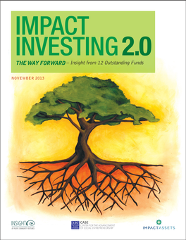 IMPACT INVESTING 2.0 the WAY FORWARD – Insight from 12 Outstanding Funds