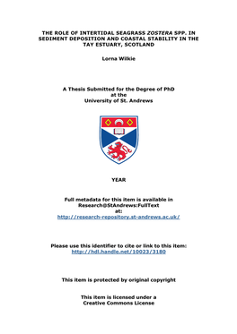 Lorna Wilkie Phd Thesis