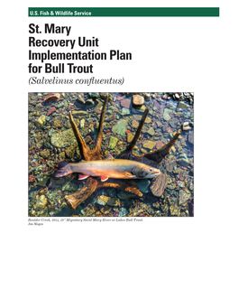 St. Mary Recovery Unit Implementation Plan for Bull Trout (Salvelinus Confluentus)