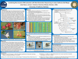 Combining Non-Invasive DNA Extraction with Next-Generation Sequencing to Study California Gall Wasps Julian Rasco, Jeremy C