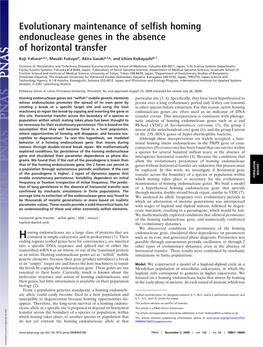 Evolutionary Maintenance of Selfish Homing Endonuclease Genes in the Absence of Horizontal Transfer