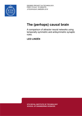 (Perhaps) Causal Brain a Comparison of Attractor Neural Networks Using Temporally Symmetric and Antisymmetric Synaptic Rules