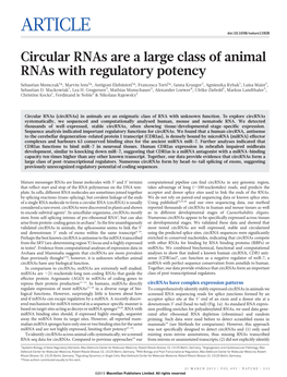 Circular Rnas Are a Large Class of Animal Rnas with Regulatory Potency