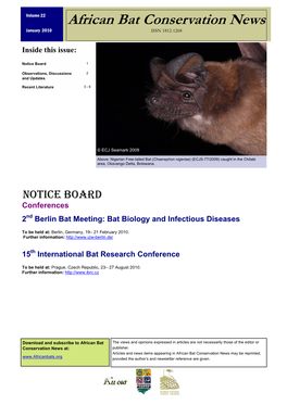 African Bat Conservation News January 2010 ISSN 1812-1268