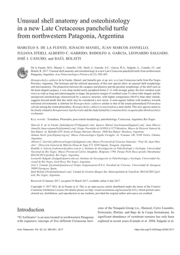 Unusual Shell Anatomy and Osteohistology in a New Late Cretaceous Panchelid Turtle from Northwestern Patagonia, Argentina