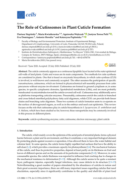 The Role of Cutinsomes in Plant Cuticle Formation