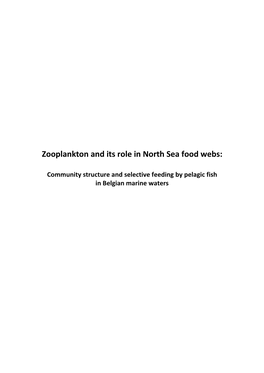 Zooplankton and Its Role in North Sea Food Webs