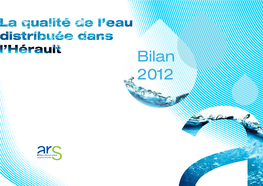 Bilan 2012 INDEX