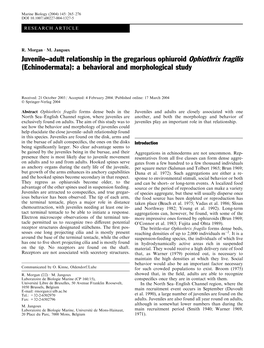 Echinodermata): a Behavioral and Morphological Study