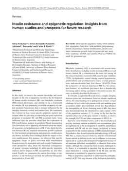 Insulin Resistance and Epigenetic Regulation: Insights from Human Studies and Prospects for Future Research