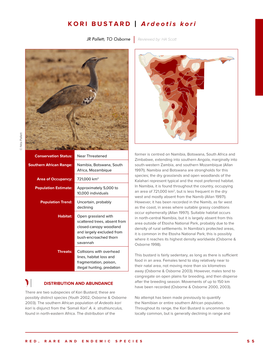 KORI BUSTARD | Ardeotis Kori