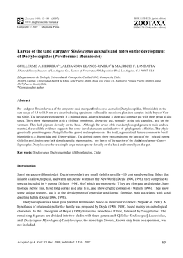 Zootaxa 1401: 63–68 (2007) ISSN 1175-5326 (Print Edition) ZOOTAXA Copyright © 2007 · Magnolia Press ISSN 1175-5334 (Online Edition)