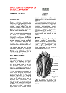 Endocrine Disorders E Panieri Dm Dent