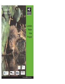 Water Voles Are Protected Under the Wildlife and Countryside Act 1981 Schedule 5, “A Brown Little Face with Whiskers