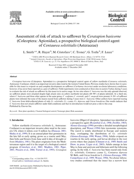 A Prospective Biological Control Agent of Centaurea Solstitialis (Asteraceae)