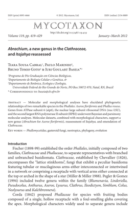 <I>Abrachium</I>, a New Genus in the <I>Clathraceae