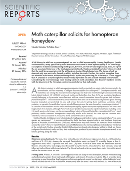 Moth Caterpillar Solicits for Homopteran Honeydew